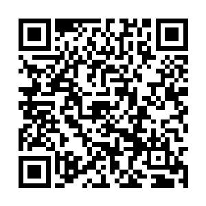 上千名观众同一时间出现在了大屏幕的直播画面中二维码生成