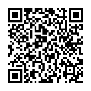 上层社会包括王室成员向来都是这些奢侈品的拥护者二维码生成