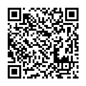 上所附加着的灵力聚合之类的攻击方式叶芸还未熟悉二维码生成