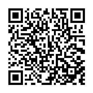 上来第一句话就让苏文打了个冷颤整个人无比清醒了二维码生成