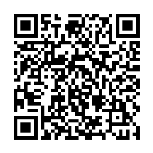 上次公司里面出现叛徒的事情难道还没给他们教训吗二维码生成