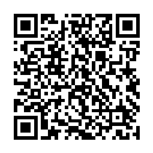 上次是我带着家族中的一些年轻人来云梦泽历练寻宝二维码生成