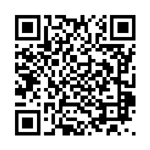 上的菜当然不会是龙髓这种奢侈高级货二维码生成