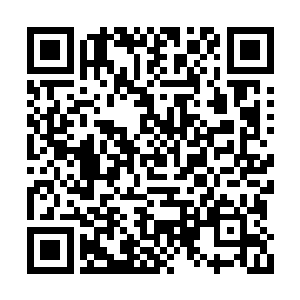 上面是断然不会容忍下面的鹰犬不受控制反咬的二维码生成