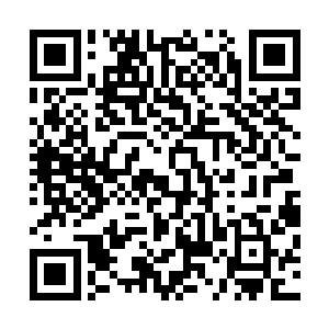 下一个动作就顺着他格挡的手臂如蛇一般把两条手臂缠上来二维码生成