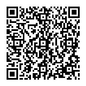 下一刻一股恐怖的能量风暴也是瞬间以龙傲天为中心朝着四面八方疯狂的席卷而去二维码生成