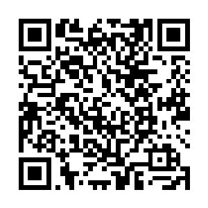 下一刻他已经站在了南方八大家族之一王家的族地上空二维码生成