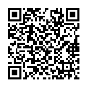 下任炼药师公会的会长绝对不会在这方面骗他们的二维码生成