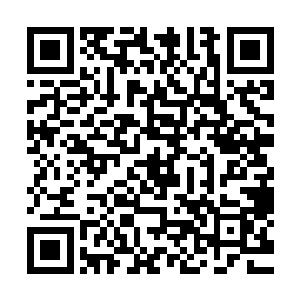下次再去果园你倒是可以试试催动木行之力的力量去滋润果树二维码生成