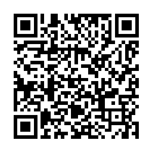 不……许……伤……害……我……的……兄……弟……二维码生成