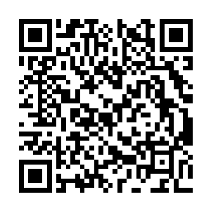 不仅表现为每个人的词表所包含的词语项不相一致二维码生成