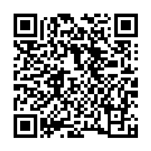 不停的盯着银发美女脸侧的白骨和透明容器里的怪物看二维码生成