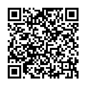 不允许动用内部系统去查询加拿大和美国情报部门关注的情况二维码生成