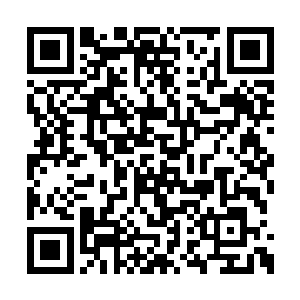 不到一月的时间内就拥有了外门弟子前五的战力二维码生成