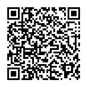 不去说我没那权限去利用登记在册人身份或容貌查找去找我要找的人二维码生成