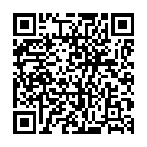 不可置信的看着他眼前一块以缓慢速度划过的淡红色灵魂碎片二维码生成