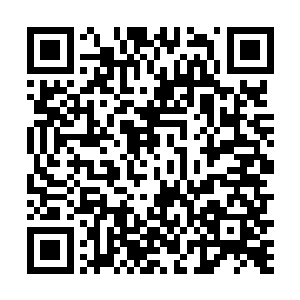 不可能就这么平白无故的走出来让这些家伙来寻找自己二维码生成