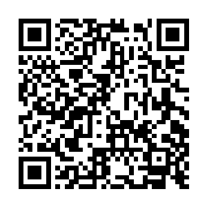 不同的是这一次他们享受到了那些种子选手的待遇二维码生成