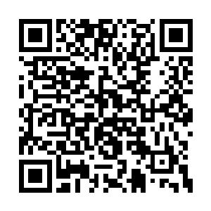 不实话实说还以为全国人民都跟着她一起瞎了啊二维码生成