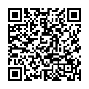 不少动用关系威逼利诱弄了点成绩的权贵子弟一个个惴惴不安二维码生成