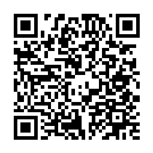 不少梨树坪的村民都看到了贾老三带着行囊和女人孩子二维码生成