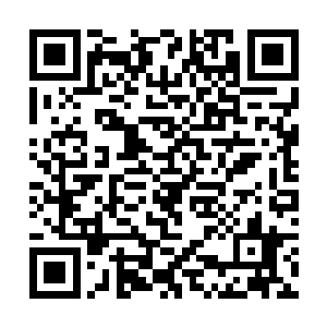 不得不说我们两个人的生活圈子简直就是一模一样的二维码生成