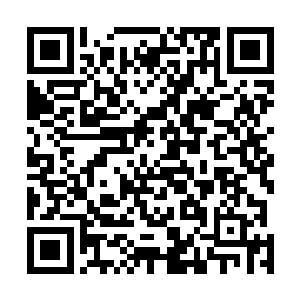 不忍心看眼前这个天真而可爱的丫头脸上露出失望的表情二维码生成