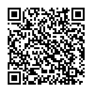 不想伐或是没树的开上小皮卡到野外林子里找棵树一伐就有烧火的了二维码生成