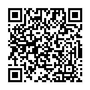 不敢相信她会把近距离接近大老板的好机会让给自己二维码生成