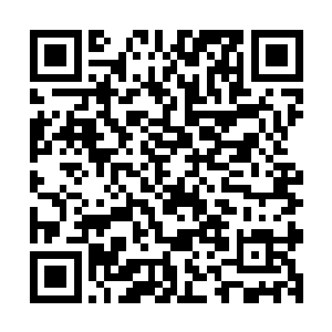 不是因为他十年地下摇滚的生涯让自己声音变得有故事这件事二维码生成