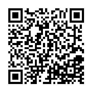 不是有传说咱们徐家的先祖娶过一个苍茫山的女子么二维码生成