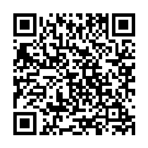 不是每一位地仙九重天巅峰都能够踏入仙王境界的二维码生成