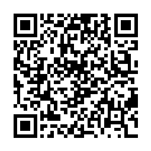 不来梅已经很久没有为这么一个外乡人如此疯狂过了二维码生成