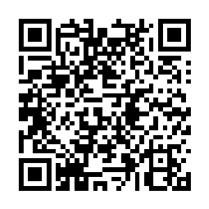 不然一个正常人说什么也不会为侄女背这种黑锅的二维码生成