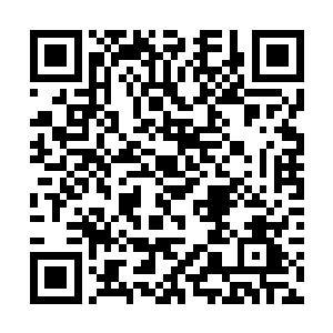 不然为什么总是在她的面前表现出一番很受伤的样子二维码生成