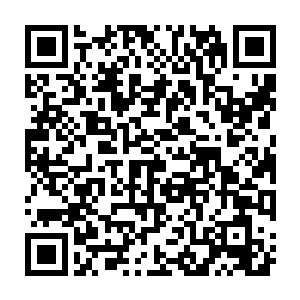 不然的话格里斯的实力绝对可以将所有的劫雷之力都抵挡在身体的外面二维码生成