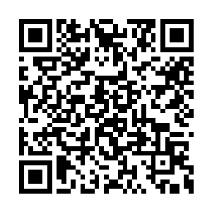 不然的话龙傲天想要拿下寒冰老祖根本就不可能二维码生成