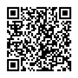 不然通灵塔里的工作者每天绕来绕去走楼梯或者从塔底飞到塔顶二维码生成
