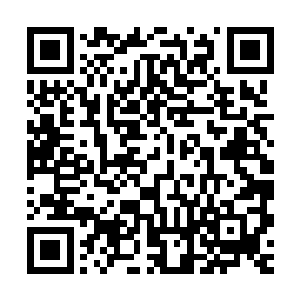 不甘于无数次的沉沦在这种一次次被扔进副本里搏杀的命运之中二维码生成
