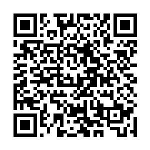 不由反射性地转头看向已经先一步走回殿内坐下的夭华二维码生成