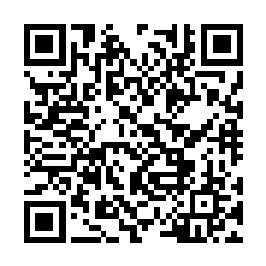 不知不觉间他已经在这个世界度过了第十个年头了二维码生成