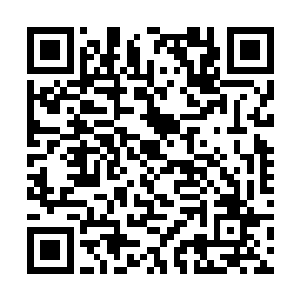 不知你们哈利多家族和这位小友之间究竟有什么仇恨二维码生成