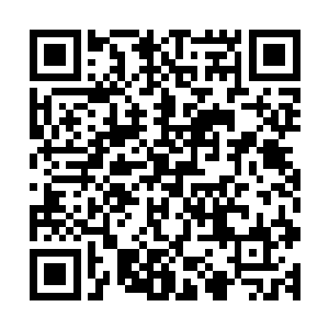 不知道一直跟他们共同进退的菲力为何忽然对自己人痛下杀手二维码生成