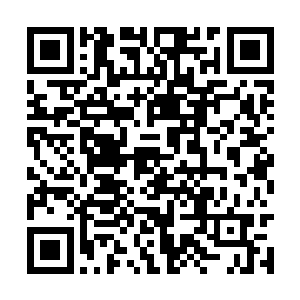 不知道为什么主任会坚持用中医师的身份下来行医二维码生成