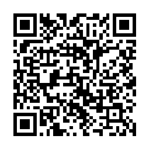 不知道在这四海界域还有谁敢与四海宫东宫少宫主一战二维码生成