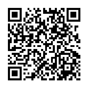 不知道多少僵尸在进阶到游尸之后死于雷法之下二维码生成