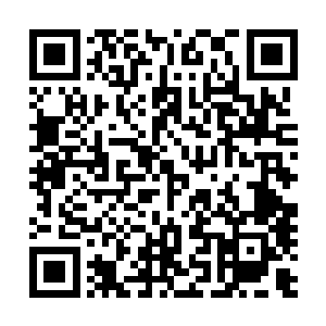 不知道当初他为了成全自己的任务而在剧情中虚耗五十年时二维码生成