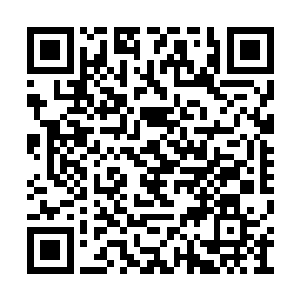 不知道是不是因为被墨所交代的事情吓成了这样二维码生成