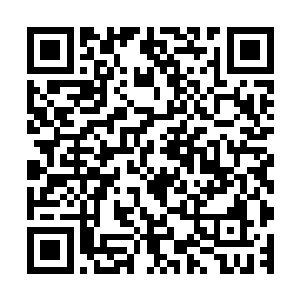 不知道是第一天受凉没感觉出什么还是昨天晚上的风太厉害了二维码生成