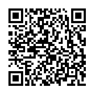 不知道琴姬会不会跟你一起呢～～若是她也一起二维码生成